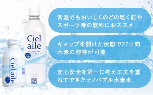 【3ヶ月定期便】ナノバブル水素水 ペットボトル(約500ml)×24本 株式会社ヒロシバ《30日以内に出荷予定(土日祝除く)》大阪府 羽曳野市 送料無料 水素水 肌 美容 健康 水