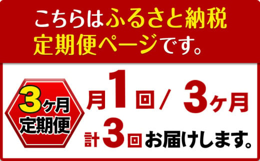 【3ヶ月定期便】ナノバブル水素水 ペットボトル(約500ml)×24本 株式会社ヒロシバ《30日以内に出荷予定(土日祝除く)》大阪府 羽曳野市 送料無料 水素水 肌 美容 健康 水