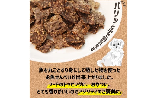 ペット用 訳あり オートミールのお魚せんべい2種 200g (100g×2袋) ＜ペット用 ドライ 犬 魚 さかな せんべい オートミール ドッグフード 手作り おやつ 詰合せ 愛犬用 愛犬用ご飯 ペット 小分け 京都 精華町 ＞