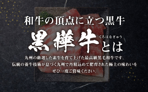 くまもと黒毛和牛 黒樺牛 A4~A5等級 焼肉用 カルビ 250g