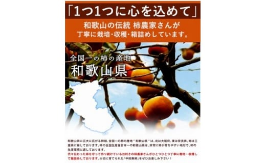 【2020年9月下旬以降出荷】和歌山県産 平核無柿〈ご家庭用〉 10kg