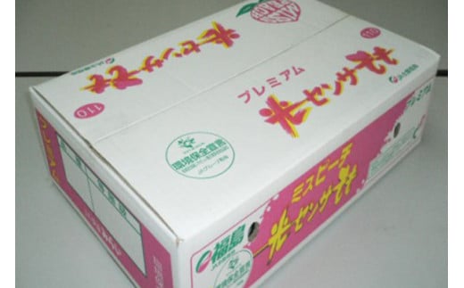 透過式光センサー川中島白桃 特秀5kg相当 15玉～18玉＜ ふくしま未来農業協同組合 ＞ | ふくしま 桃 福島 もも 国見 モモ ※2025年8月中旬頃に順次発送予定 ※沖縄・離島への配送不可