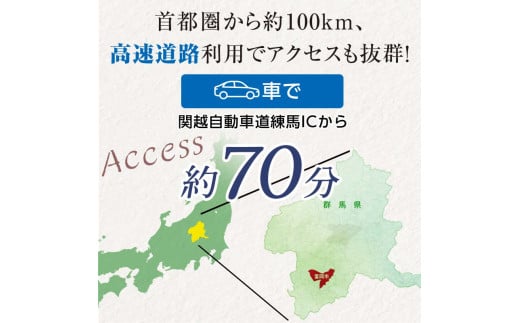 富岡市ゴルフ場利用券  (3,000円相当額)  ゴルフ チケット 平日 土日 祝日 プレー券 関東 群馬県 首都圏 F20E-204