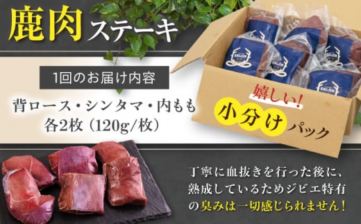  ジビエ モモ セット ステーキ 赤身 冷凍配送 定期便 