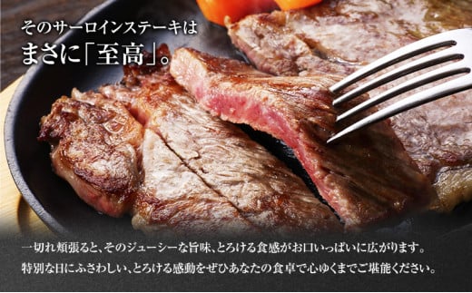 葉山牛 サーロインステーキ 約250g 2枚 冨士屋牛肉店 ステーキ サーロイン 霜降り 箱入り 贈答用 お中元 ギフト おもてなし 黒毛和牛 神奈川県 【 逗子市 】 発送可能時期より順次発送予定※最大2ヶ月 [№5875-0516]