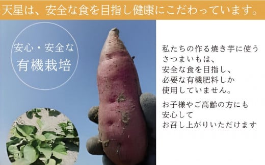 さつまいも 紅はるか 冷凍焼き芋1500g   天星（あまぼし）メディア いも  芋蜜