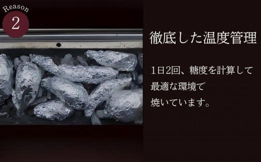 さつまいも 紅はるか 冷凍焼き芋1500g   天星（あまぼし）メディア いも  芋蜜