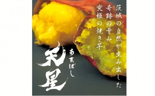 さつまいも 紅はるか 冷凍焼き芋1500g   天星（あまぼし）メディア いも  芋蜜