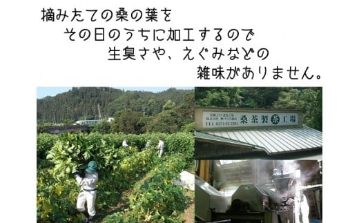 【有機 桑の葉まっ茶】ノンカフェイン プレママ 糖質制限 食物繊維 ダイエット 飲料 オーガニック ハーブティー マルベリー F21K-027