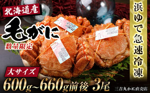 【大サイズ】北海道産 冷凍ボイル毛ガニ (600g-660g前後) 3尾 