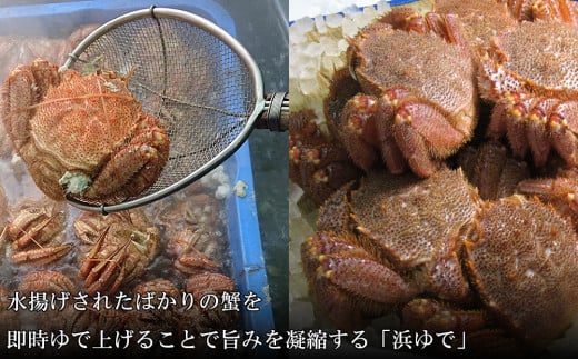 【大サイズ】北海道産 冷凍ボイル毛ガニ (600g-660g前後) 3尾 