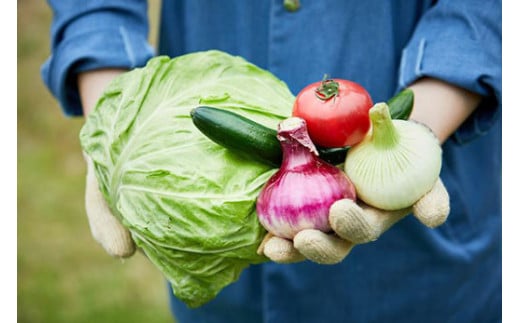 道の駅「虹の森公園まつの」産直市 新鮮野菜5～7種類 ◇