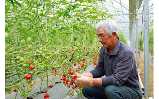 道の駅「虹の森公園まつの」産直市 新鮮野菜5～7種類 ◇