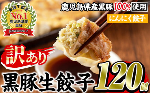 No.1009w-n ＜訳あり＞数量・期間限定！鹿児島黒豚使用のにんにく餃子(計120個・12個入り×10パック) 国産 九州産 ぎょうざ ギョウザ 冷凍 ニンニク 黒豚 豚肉 お肉 おかず【末永商店】