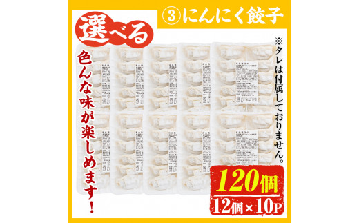 No.1009w-n ＜訳あり＞数量・期間限定！鹿児島黒豚使用のにんにく餃子(計120個・12個入り×10パック) 国産 九州産 ぎょうざ ギョウザ 冷凍 ニンニク 黒豚 豚肉 お肉 おかず【末永商店】