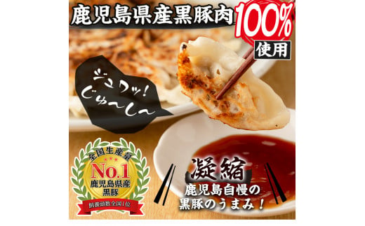 No.1009w-n ＜訳あり＞数量・期間限定！鹿児島黒豚使用のにんにく餃子(計120個・12個入り×10パック) 国産 九州産 ぎょうざ ギョウザ 冷凍 ニンニク 黒豚 豚肉 お肉 おかず【末永商店】