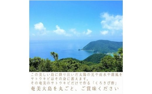 【12ヶ月定期便】長期熟成 島の宝 くろきび酢 700ml 1本　A037-T01