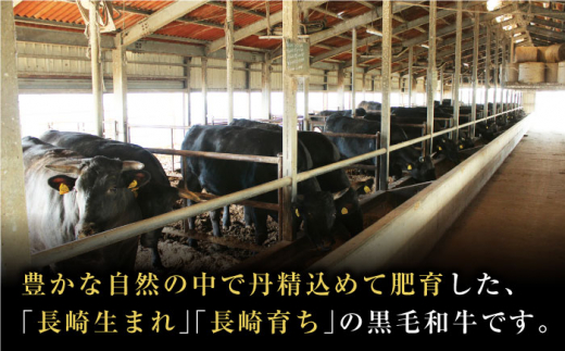 【12/22入金まで年内発送】長崎和牛 A5ランク 特選ロース 極厚 焼肉 700g《小値賀町》【株式会社 OGAWA】 [DBJ003] 肉 和牛 黒毛和牛 A5 ロース 肉厚 焼き肉 焼肉用 贅沢 