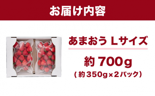 あまおう Lサイズ 約350g×2パック  