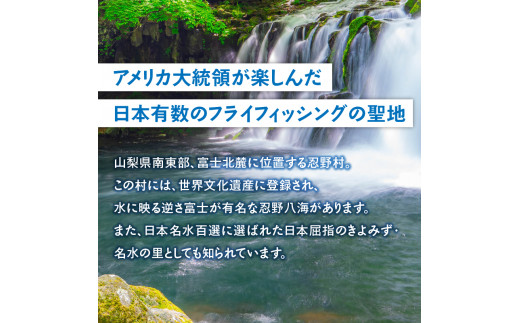 漁業券大人（中学生、女性、70歳以上）（年間券）