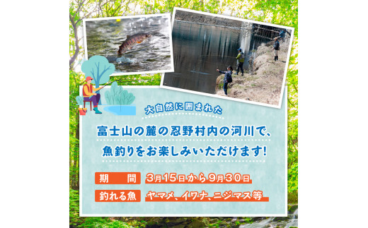 漁業券大人（中学生、女性、70歳以上）（年間券）