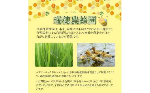 地場産純粋蜂蜜 春採取(里山百花蜜)3本セット《 蜂蜜 はちみつ 砂糖の代わり 贈り物 プレゼント 》【2402K01003】