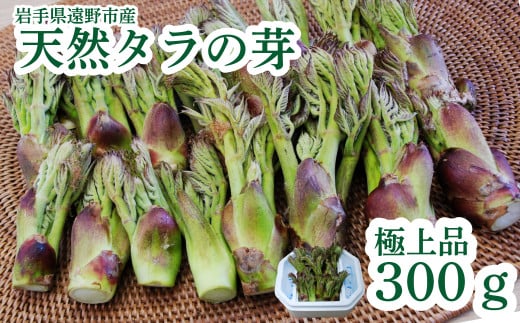 遠野産天然タラの芽300ｇ