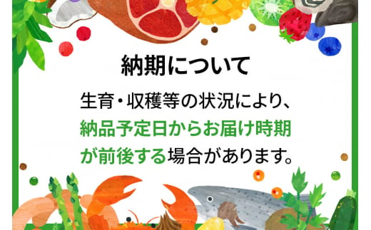 自然栽培 秋冬 季節のお任せ野菜セット Mサイズ