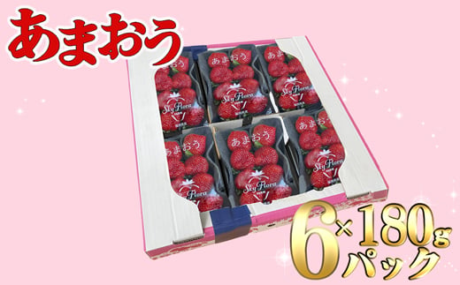 【2025年3月より順次発送】福津産あまおう約180g×6パック【スカイフローラファーム】[F0151]