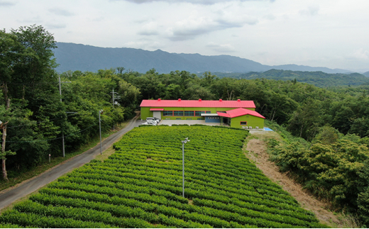 【体験期間：6月末まで】茶摘み＆手もみ製茶体験！茶娘衣装貸出付き（大人1名：中学生以上） [№5299-0034]