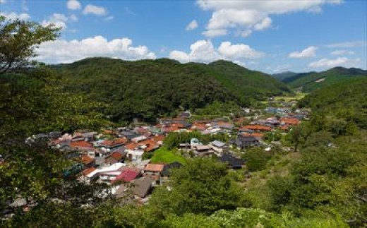 「俵山　山から」カラー