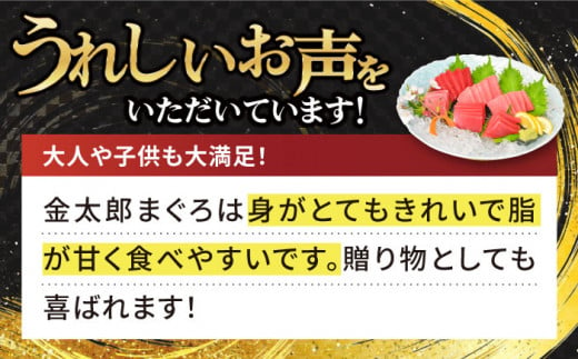 【数量限定！】【濃厚で脂があま～い！】金太郎 マグロ 冷凍 ブロック 中トロ 赤身 約1kg【徳丸】 [RAC006]