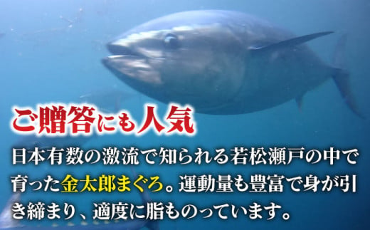 【数量限定！】【濃厚で脂があま～い！】金太郎 マグロ 冷凍 ブロック 中トロ 赤身 約1kg【徳丸】 [RAC006]