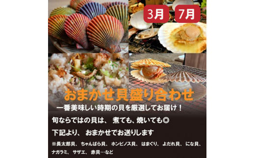 【野島水産】お楽しみ 旬の海鮮 定期便 4回 コース 限定30セット ( お楽しみ 定期便 4ヶ月 お刺し身 かつお タタキ カツオ 鰹 鯛 たい タイ 勘八 カンパチ かんぱち 牡蠣 カキ かき ウツボ うつぼ 伊勢海老 えび エビ 高級魚 海鮮 魚介 ) NS4000_x