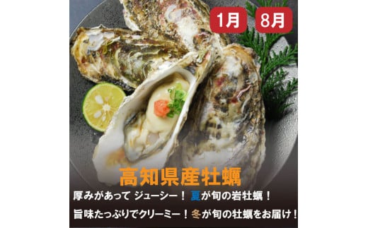 【野島水産】お楽しみ 旬の海鮮 定期便 4回 コース 限定30セット ( お楽しみ 定期便 4ヶ月 お刺し身 かつお タタキ カツオ 鰹 鯛 たい タイ 勘八 カンパチ かんぱち 牡蠣 カキ かき ウツボ うつぼ 伊勢海老 えび エビ 高級魚 海鮮 魚介 ) NS4000_x