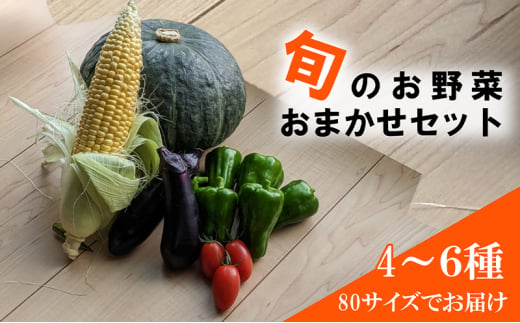 旬の野菜おまかせセット4～6種 80サイズ箱でお届け 猪苗代産 野菜 新鮮 野菜セット 農家直送 産地直送 詰め合わせ おまかせ[№5771-1346]