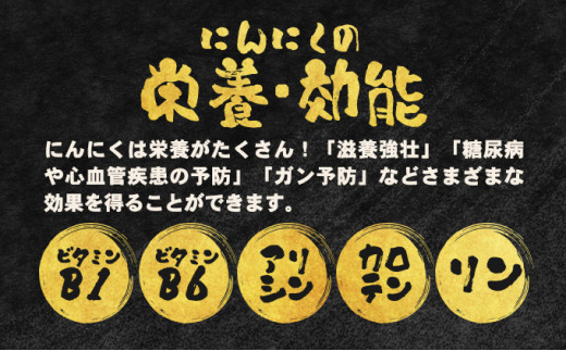 ねばりまこと芋とにんにく加工品 梅【国産 長芋 にんにく 粉末 詰め合わせ セット 贈り物 ギフト プレゼント 東北 青森県 七戸町 送料無料】【02402-0324】