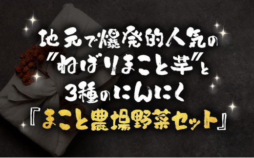 ねばりまこと芋とにんにく加工品 梅【国産 長芋 にんにく 粉末 詰め合わせ セット 贈り物 ギフト プレゼント 東北 青森県 七戸町 送料無料】【02402-0324】