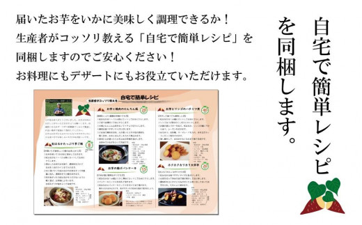 訳あり さつまいも 紅はるか 堀りたて 10kg (1箱 ) 新物 鹿児島県産 2024年12月末までに出荷