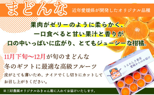 紅まどんなと同品種！＜贅沢柑橘「まどんな」贈答用 12～16個入り＞ 果物 フルーツ 愛媛果試第28号 みかん 蜜柑 ミカン オレンジ マドンナ ギフト 贈り物 特産品 三好農園 西宇和 愛媛県 西予市【常温】