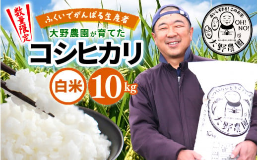 【先行予約】【令和6年産・新米】 コシヒカリ 10kg 福井県美浜町 ふくいでがんばる生産者 大野農園が育てた こしひかり 【2024年10月中旬以降順次発送予定】 [m49-a002_10]