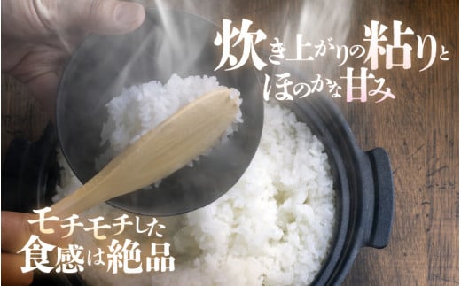 【先行予約】【令和6年産・新米】 コシヒカリ 10kg 福井県美浜町 ふくいでがんばる生産者 大野農園が育てた こしひかり 【2024年10月中旬以降順次発送予定】 [m49-a002_10]