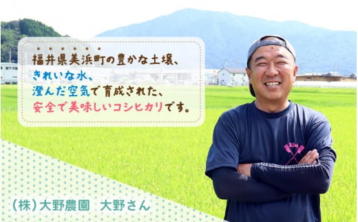 【先行予約】【令和6年産・新米】 コシヒカリ 10kg 福井県美浜町 ふくいでがんばる生産者 大野農園が育てた こしひかり 【2024年10月中旬以降順次発送予定】 [m49-a002_10]