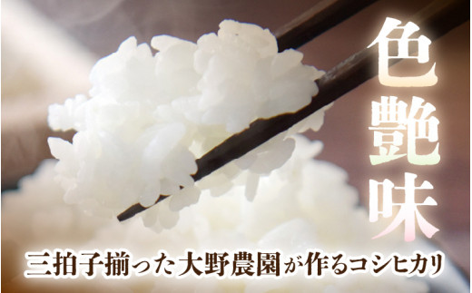 【先行予約】【令和6年産・新米】 コシヒカリ 10kg 福井県美浜町 ふくいでがんばる生産者 大野農園が育てた こしひかり 【2024年10月中旬以降順次発送予定】 [m49-a002_10]