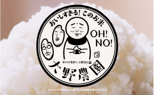 【先行予約】【令和6年産・新米】 コシヒカリ 10kg 福井県美浜町 ふくいでがんばる生産者 大野農園が育てた こしひかり 【2024年10月中旬以降順次発送予定】 [m49-a002_10]