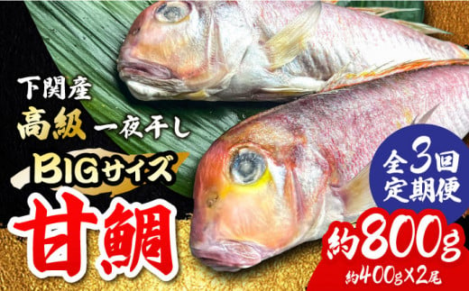 【全3回定期便】びっくりビッグサイズ！甘鯛一夜干し2尾（1尾あたり約400g） 総計6尾 おつまみ 酒の肴 焼き物にぴったり 吉野ヶ里町/やきとり紋次郎 [FCJ076]