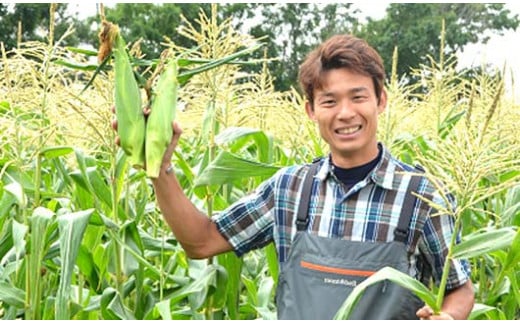 《先行受付》令和7年発送 北海道産 とうもろこし あまいんです6本 朝採れ 一番果 産地直送 数量限定 期間限定 NP1-179