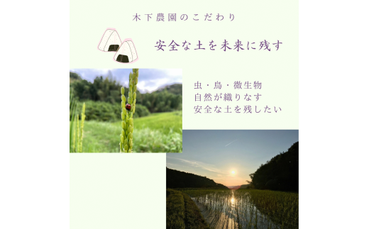 新米令和6年度産・農薬不使用『幻のお米農林22号』5キロ【白米（標準精米）】