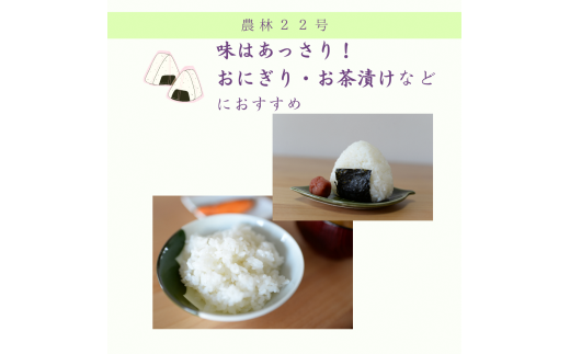 新米令和6年度産・農薬不使用『幻のお米農林22号』5キロ【白米（標準精米）】