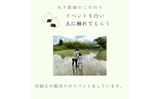 新米令和6年度産・農薬不使用『幻のお米農林22号』5キロ【白米（標準精米）】